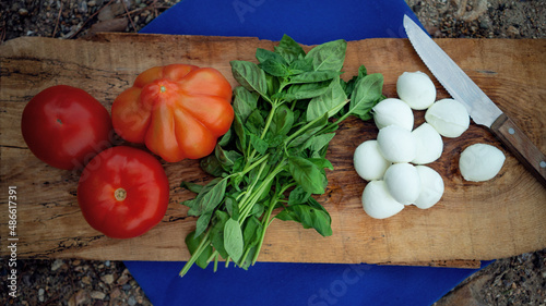 Caprese on a wooden cutting board on a picknick blanket photo