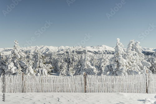 Snow fence photo