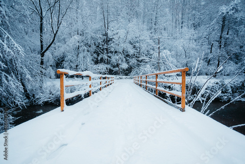 Road In Forets photo