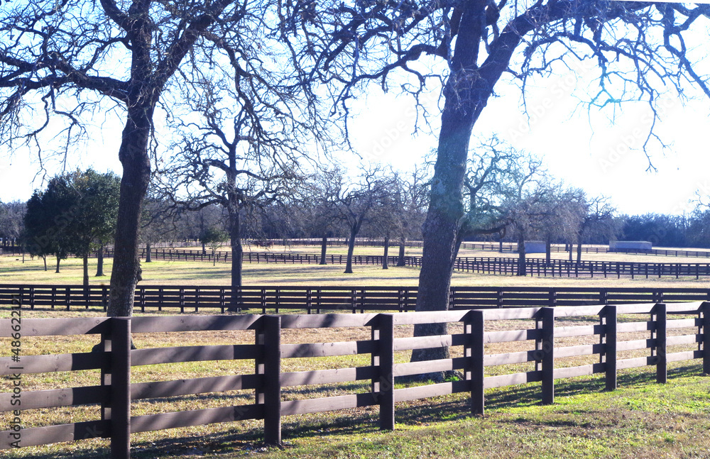 Polyethylene board fencing for horses - closeup