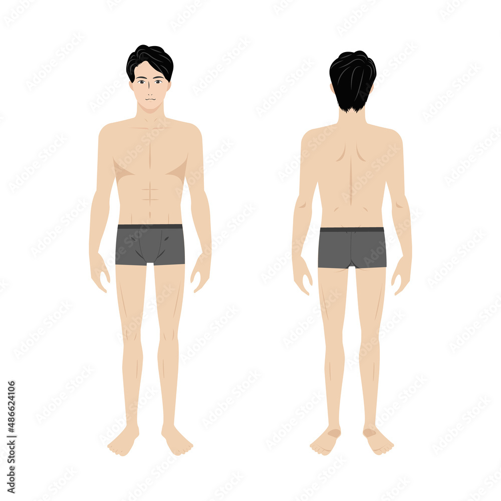 Fototapeta premium 若いアジア人男性の下着姿の美容や整体向けの全身の裸の白バックのイメージイラスト図