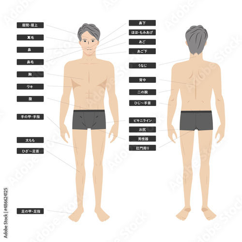 シニアのアジア人男性の下着姿の脱毛エステの全身の箇所指示白バックの線なしイメージイラスト図