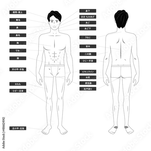 若いアジア人男性の下着姿の脱毛エステの全身の箇所指示白バックの線画のイメージイラスト図