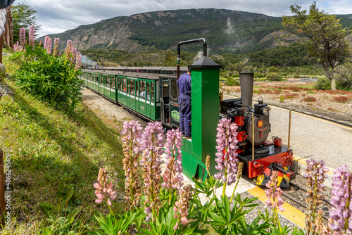 Argentina, Ushuaia, the famous train of the end of the world  crosses the National Park of  Tierra del Fuego. photo