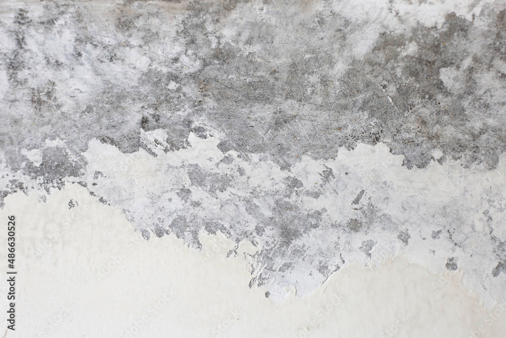 Obraz premium Cement wall texture for background.