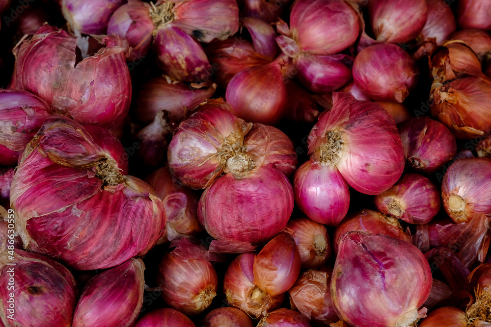 Shallots close up in the market for background Shallots close up in the market for background