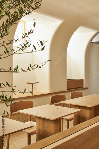 Lumber chairs and tables near potted tree