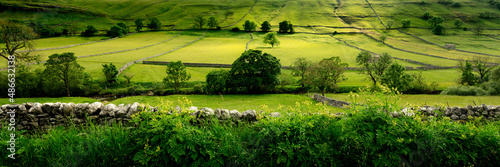 Wharfedale Fields Yorkshire Dales photo