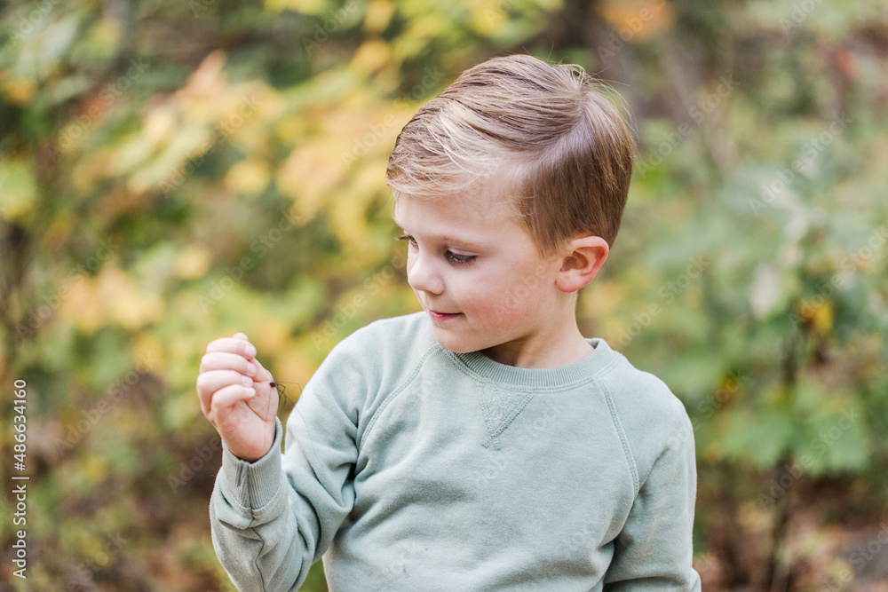 boy holding a spider boy holding a spider