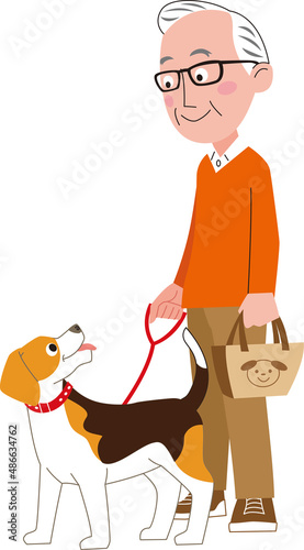 老人がマナーバッグを持って犬の散歩をしています。犬はビーグル犬です。