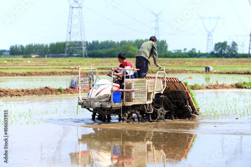 Farmers planting rice in field by using rice planting machine.