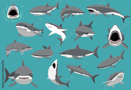 Great White Shark Sixteen Poses Cartoon Vector Illustration