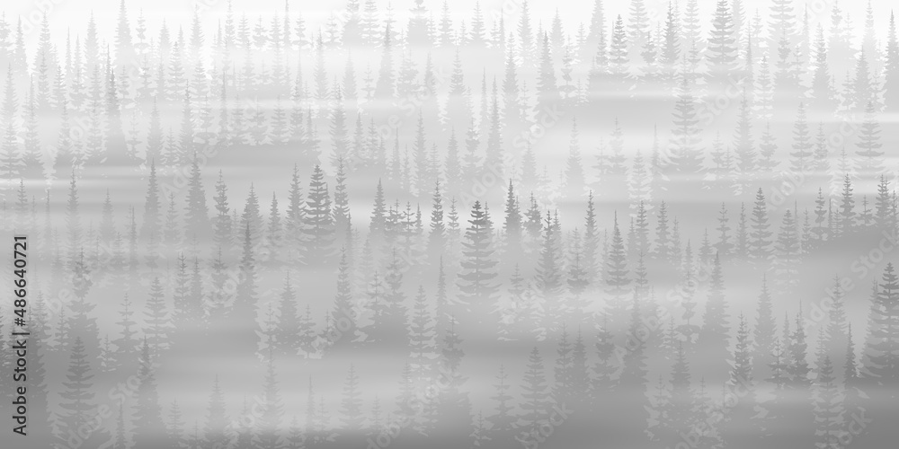 Coniferous forest in the morning fog, black and white landscape Coniferous forest in the morning fog, black and white landscape