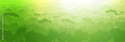 Rainforest hills, jungle. Panoramic view of southern nature, morning light.