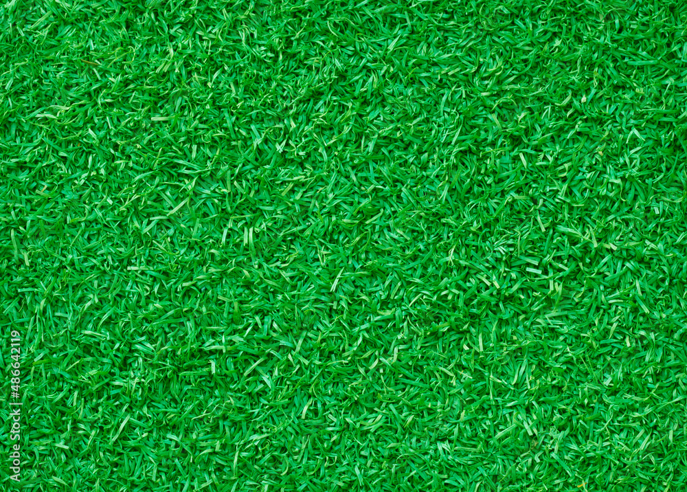 natural beautiful green grass background texture natural beautiful green grass background texture