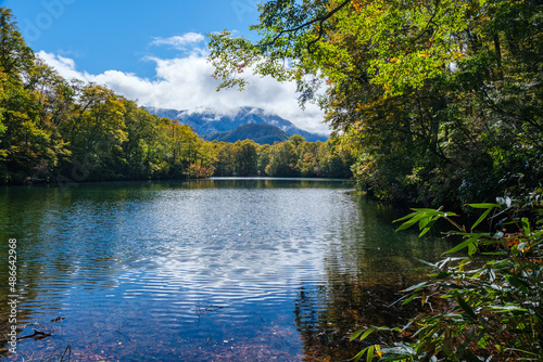 森の水辺