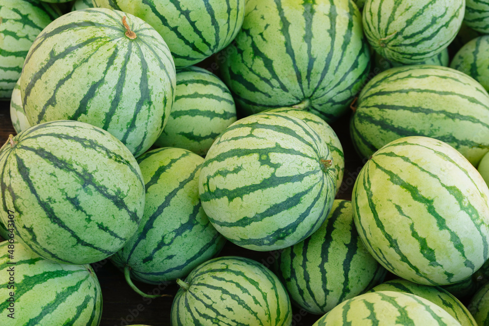 Pile of whole watermelons Pile of whole watermelons