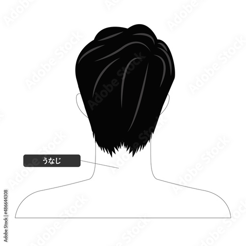 エステやマッサージなど美容向けのアジア人男性の顔の白黒の線画の白バックのベクターイラスト若い