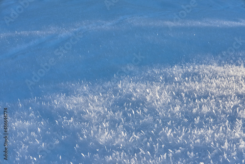 Sunlit snow crystals