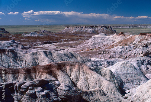 Petrified Forest National Park Arizona badlands landscape