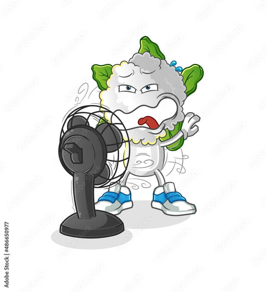 cauliflower head cartoon in front of the fan character. cartoon vector