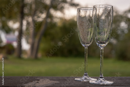 Closeup of two champagne glasses with sand in them, left at a picnic area
