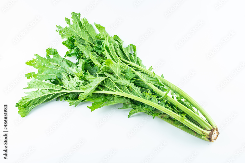 Fresh organic vegetable mustard greens on white background Fresh organic vegetable mustard greens on white background