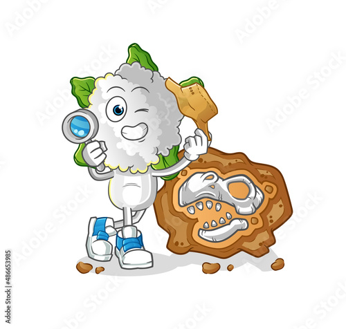 cauliflower head cartoon archaeologists with fossils mascot. cartoon vector