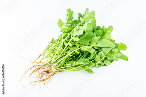 Handful of fresh organic vegetable radish sprouts on white background