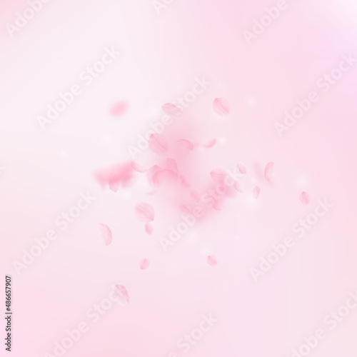Sakura petals falling down. Romantic pink flowers explosion. Flying petals on pink square background. Love, romance concept. Exceptional wedding invitation.