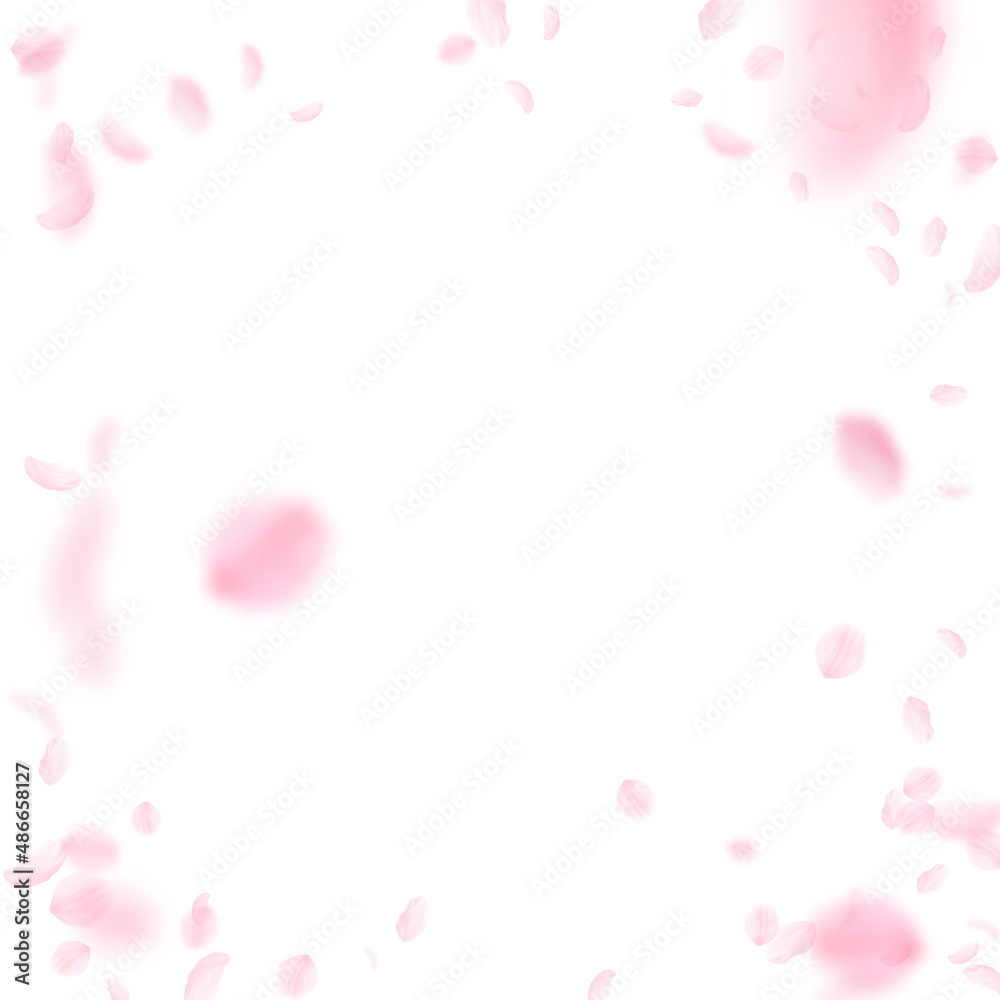 Sakura petals falling down. Romantic pink flowers vignette. Flying petals on white square background. Love, romance concept. Great wedding invitation. Sakura petals falling down. Romantic pink flowers vignette. Flying petals on white square background. Love, romance concept. Great wedding invitation.