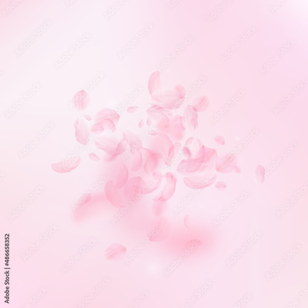 Sakura petals falling down. Romantic pink flowers explosion. Flying petals on pink square background. Love, romance concept. Exotic wedding invitation.