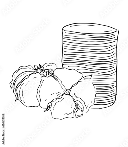 Cotton pads for removal makeup with cotton flower. Sketch of cotton pads, personal hygiene items.