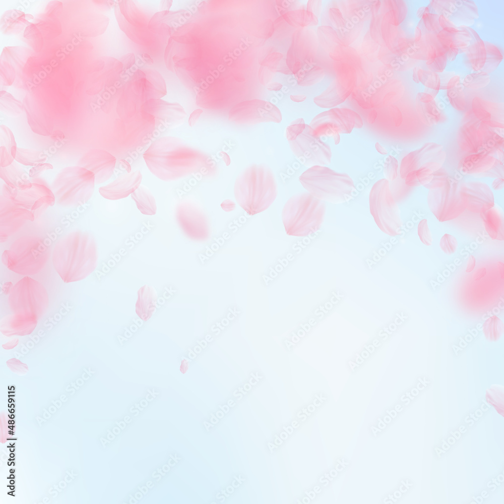 Sakura petals falling down. Romantic pink flowers falling rain. Flying petals on blue sky square background. Love, romance concept. Good-looking wedding invitation.