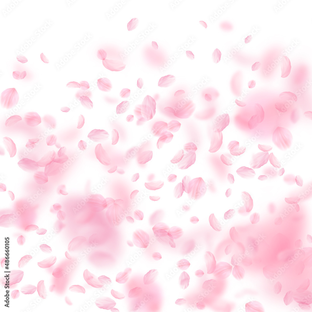 Sakura petals falling down. Romantic pink flowers gradient. Flying petals on white square background. Love, romance concept. Tempting wedding invitation.