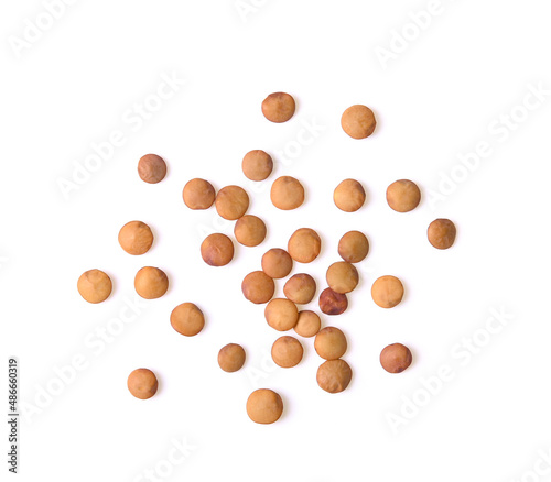 Brown Lentils on white background
