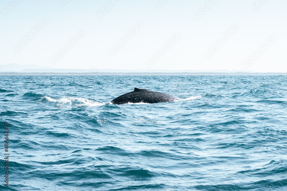 Fototapeta premium Ocean water texture on the water 