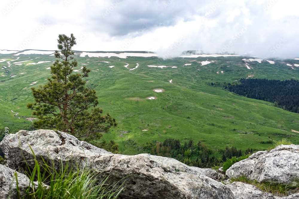 A forest standing by the rocks, overlooking the Alpine meadows. The Lago-Naki plateau in Adygea. Russia. 2021 A forest standing by the rocks, overlooking the Alpine meadows. The Lago-Naki plateau in Adygea. Russia. 2021