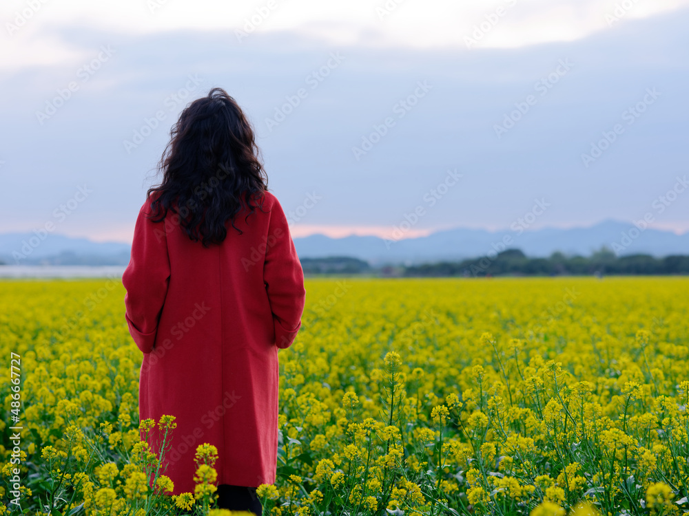 Fototapeta premium portrait of a woman in the field