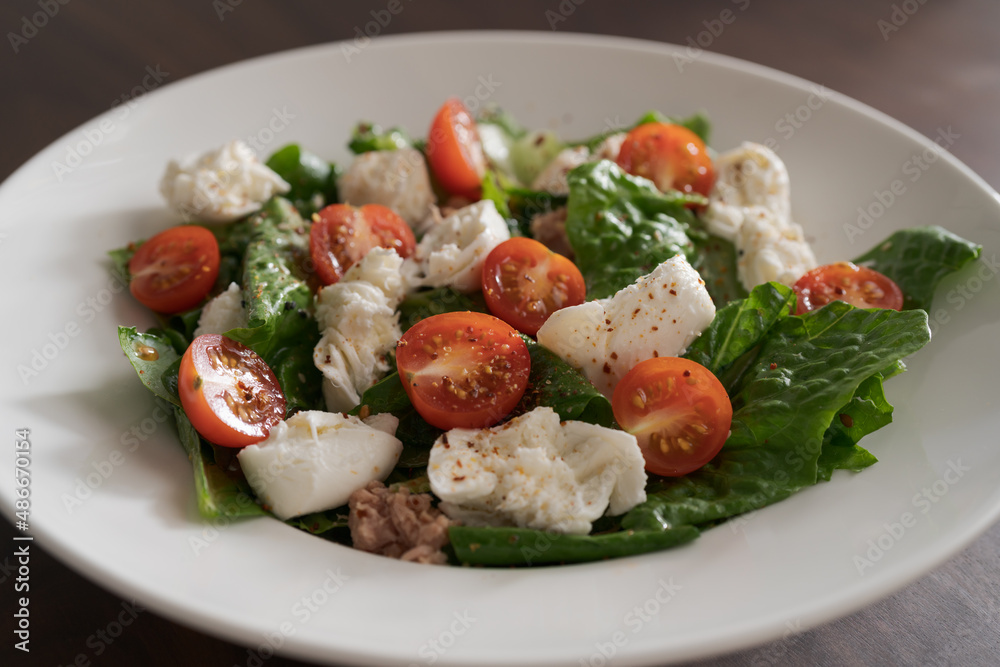 Salad with canned tuna, mozzarella and tomatoes in white bowl Salad with canned tuna, mozzarella and tomatoes in white bowl