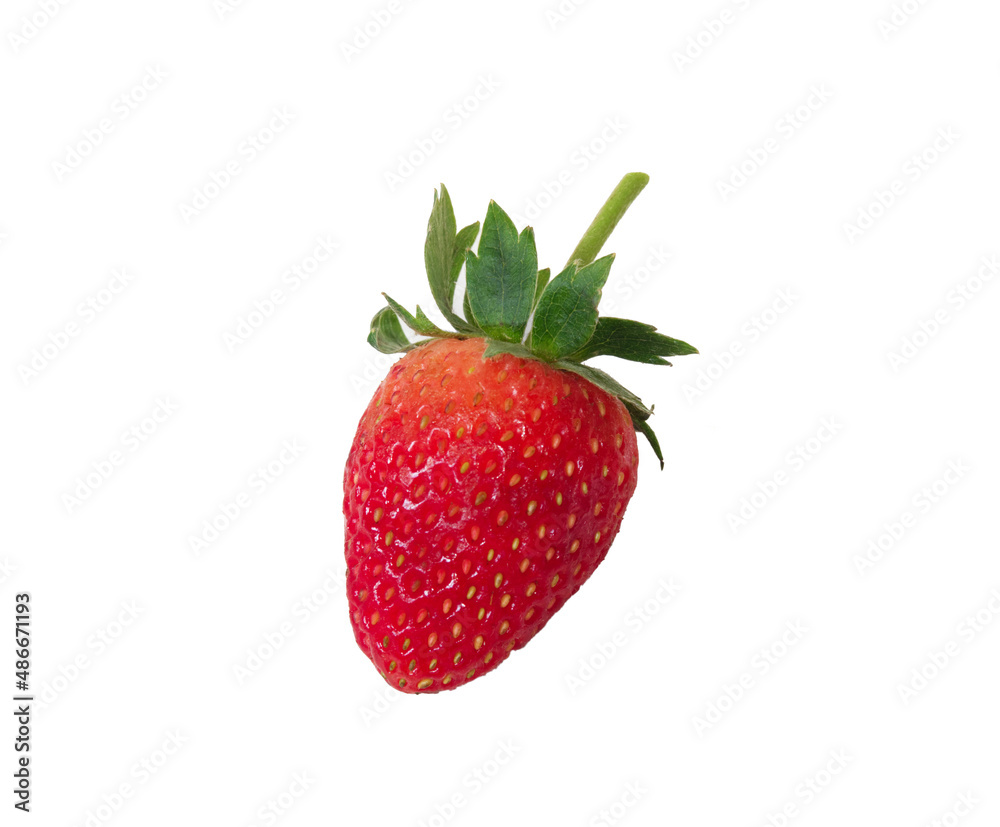 One fresh strawberry isolated on white background One fresh strawberry isolated on white background