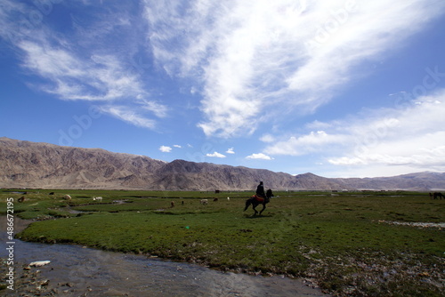 新疆ウイグル自治区・タシュクルガンの湿地帯 photo