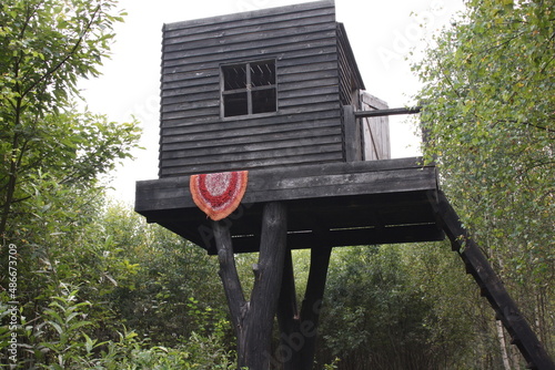 little house on a tree in the forest