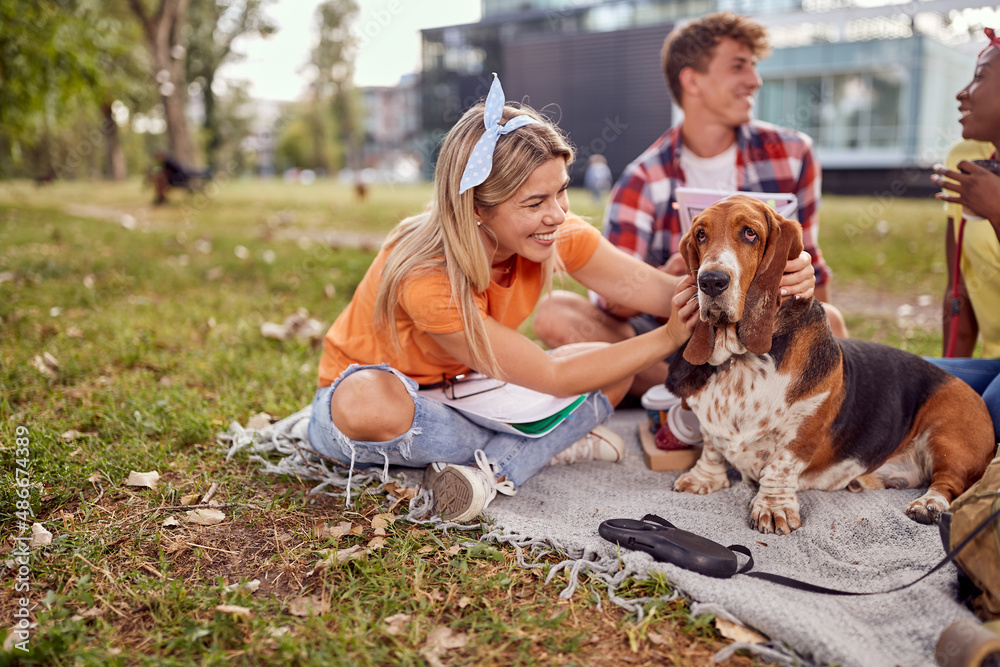 A cute dog enjoys being hugged by young girl sitting on the grass with her friends in the park. Friendship, rest, pets, picnic
