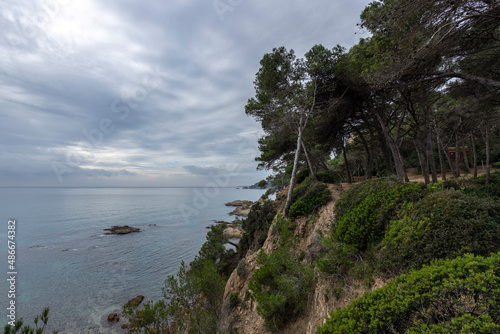 Mediterranean Sea, Spain, Costa Brava. Picturesque landscape with azure sea. Pine trees on the shores of the azure coast. A beautiful beach with lush greenery.