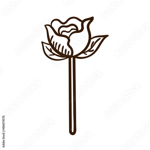 Hand drawn paper flower rose. Birthday clipart in doodle style. Vector Isolated illustration on a white background