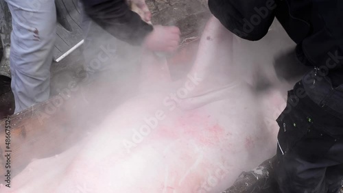 Tradicional Pig slaughter in the Czech Republic. Pig being cleaned.