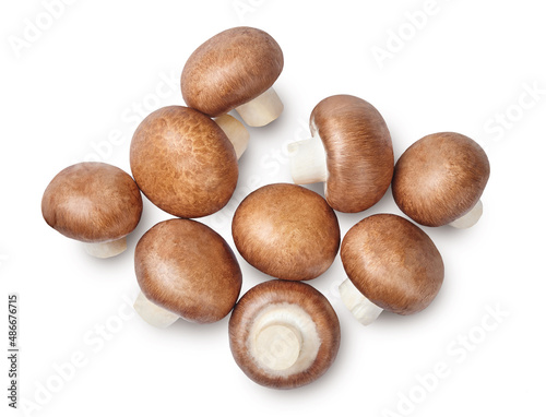 A handful of brown champignons isolated on white background.