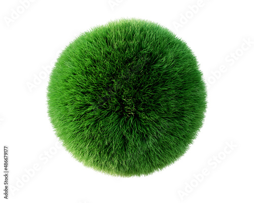 Green sphere shaped grass isolated on white background. 3d rendering
