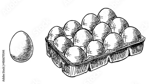 The egg box. Eggs fresh set healthy food. Vector sketch illustration. Image isolated on white background